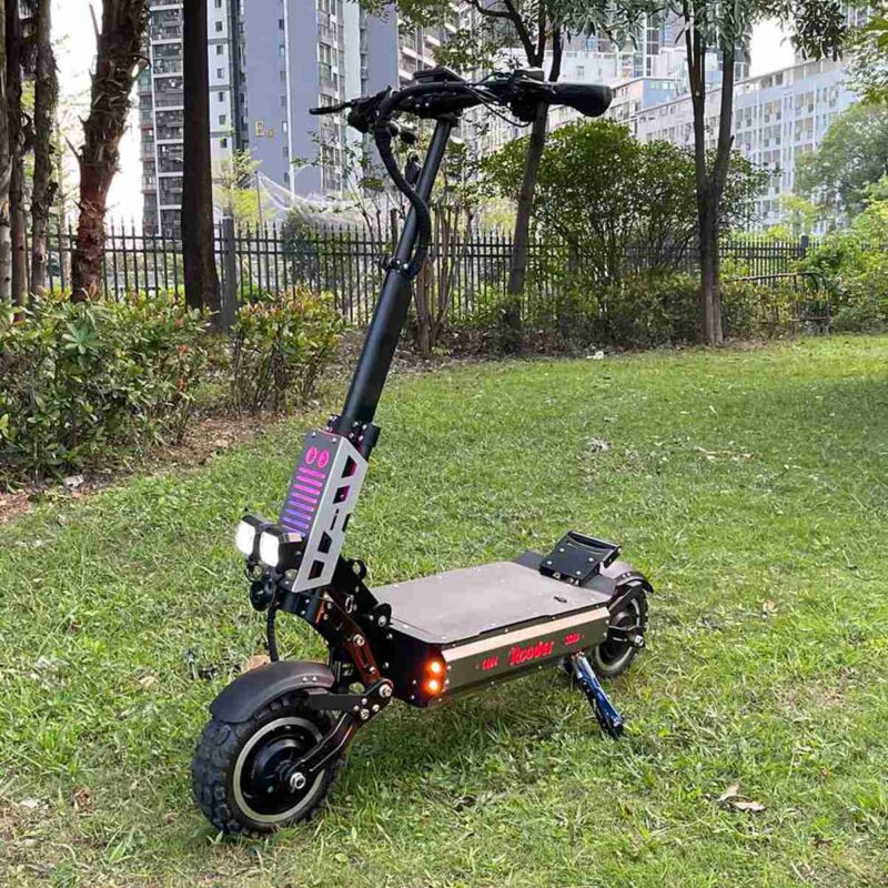 Citycoco Fat Tire Scooter wholesale price