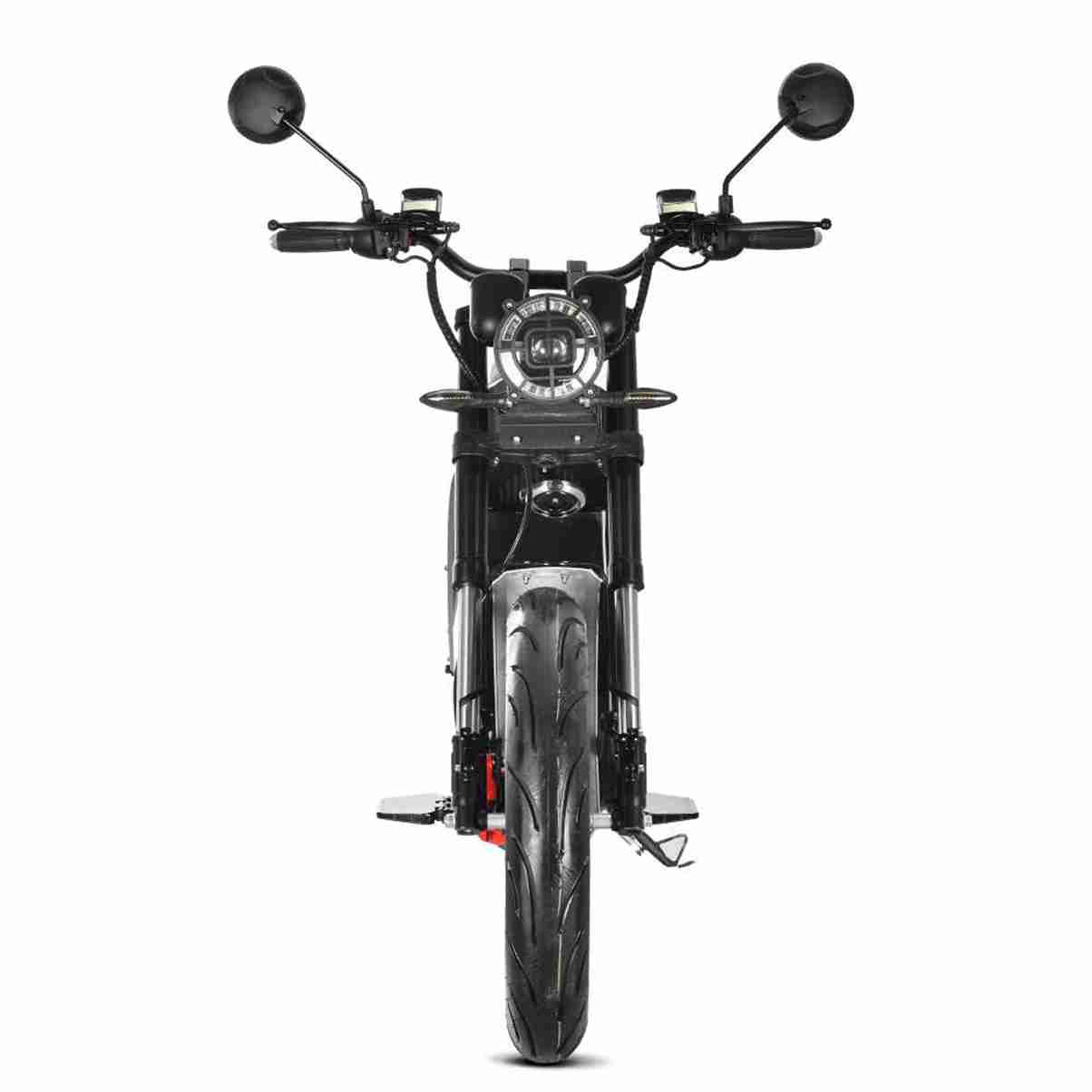 Electric Bike With Thick Tires wholesale price