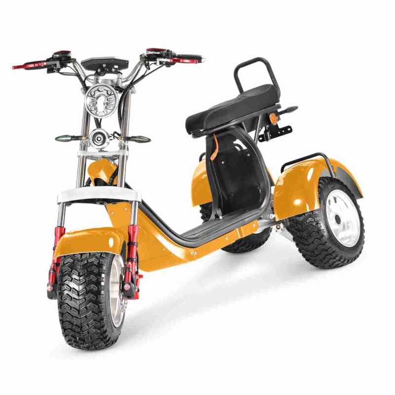 Electric Scooter Holland wholesale price