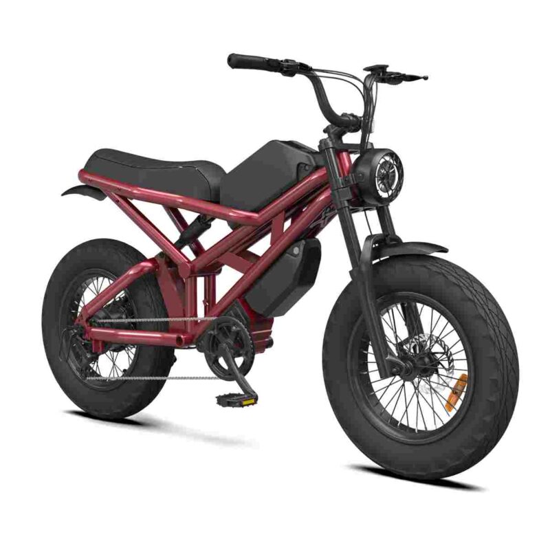 Full Size Electric Dirt Bike wholesale price