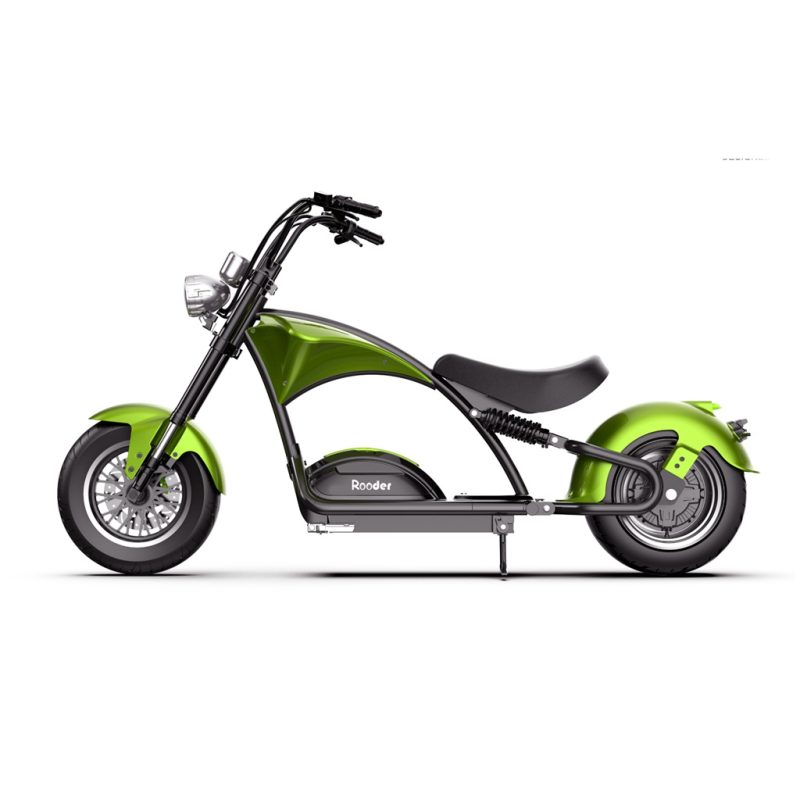 electric bicycle latte 500w 13ah for sale from Rooder ebike factory