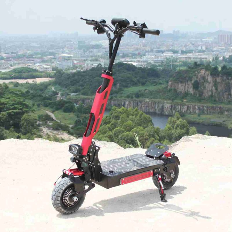 Thick Tyre Electric Bike wholesale price