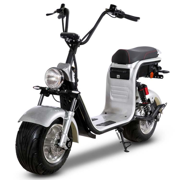 citycoco bike electric scooter Rooder r804-hr6 1500w 12a 20ah factory price