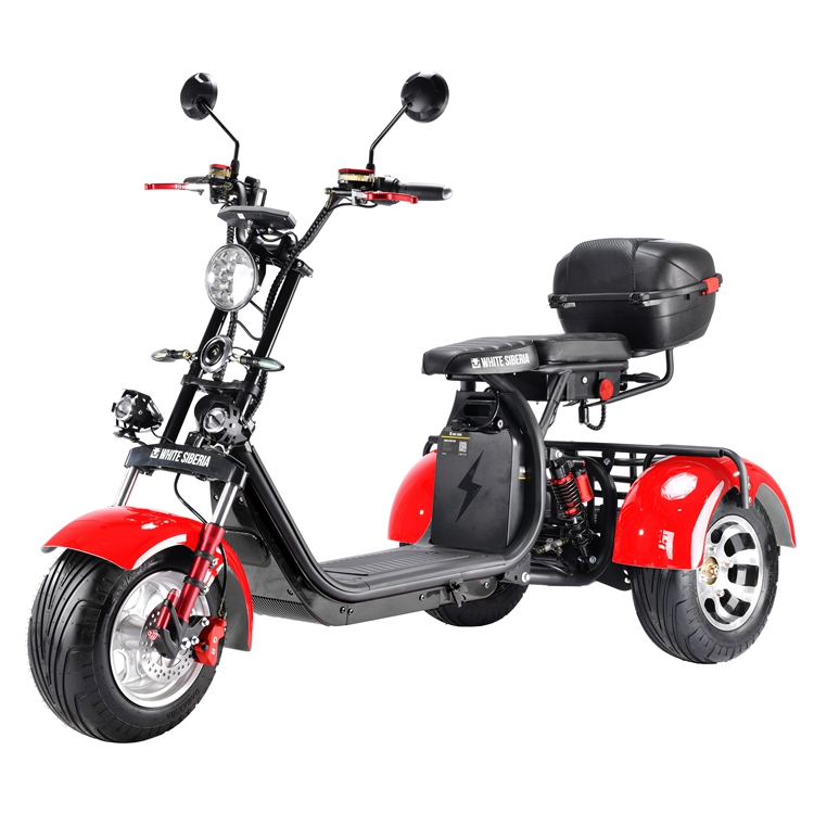 citycoco electric scooter Rooder 3 wheel white siberia Russian warehouse