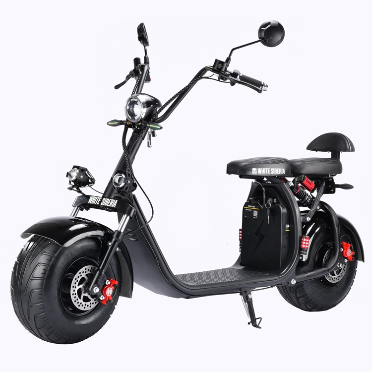 electric scooters for adults Rooder r804c removable battery wholesale