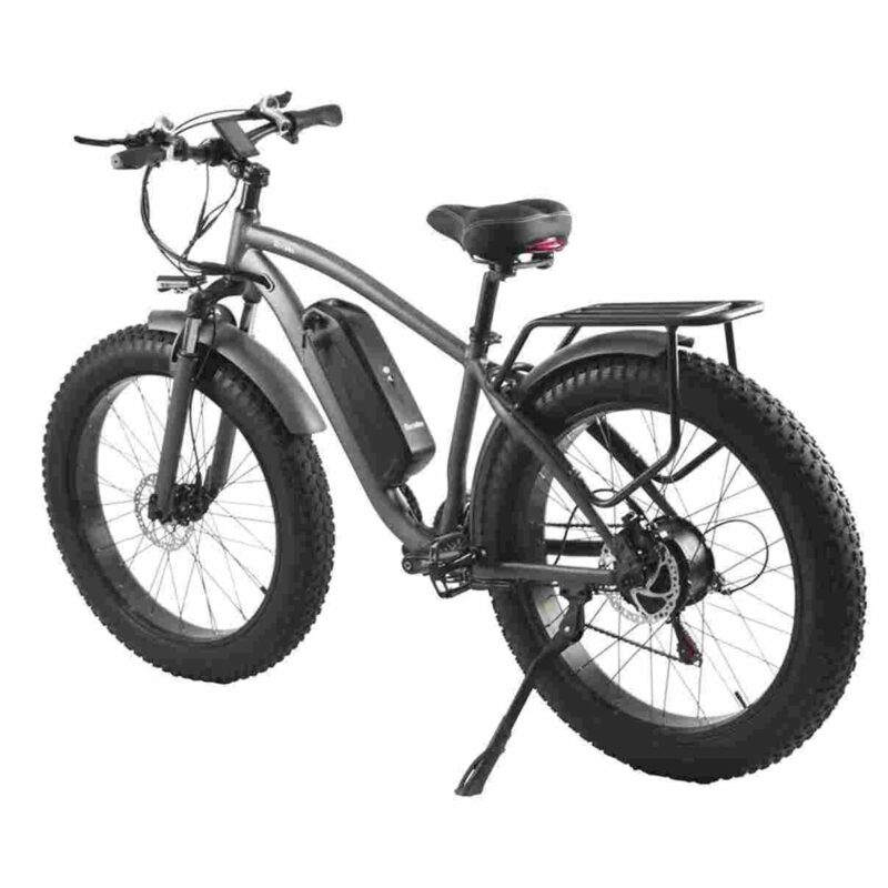 2 seater electric bike factory OEM China Wholesale
