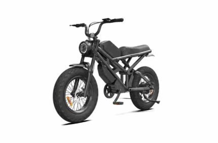 24 Fat Tire Ebike factory OEM China Wholesale