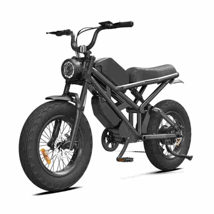 250watt Electric Bike factory OEM China Wholesale