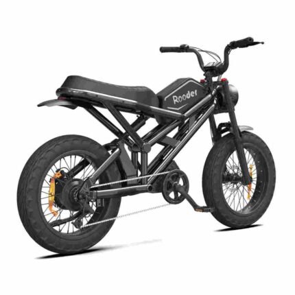 29 inch electric bike factory OEM China Wholesale