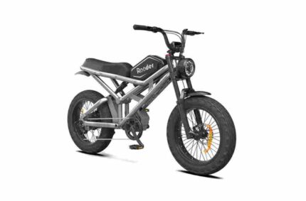 3 wheel electric bike for 2 adults factory OEM China Wholesale