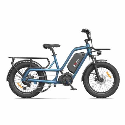 4 wheel electric bike for adults factory OEM China Wholesale