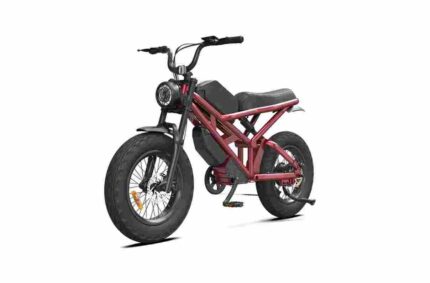 750 Watt Electric Fat Tire Bike factory OEM China Wholesale