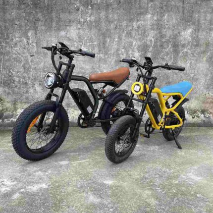 Adult Fat Tire Electric Bike factory OEM China Wholesale