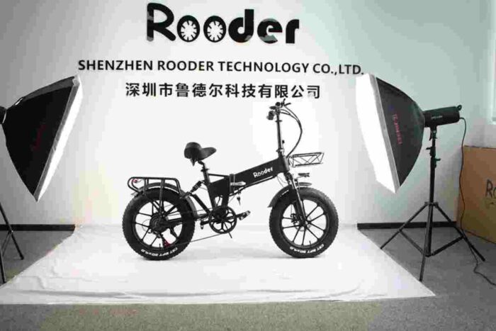 Adult Folding Electric Bike factory OEM China Wholesale