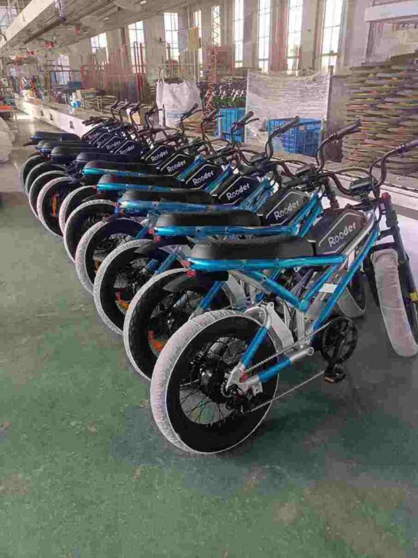 Affordable Fat Tire Electric Bike factory OEM China Wholesale