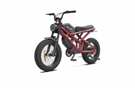 Best 20 Inch Folding Electric Bike factory OEM China Wholesale