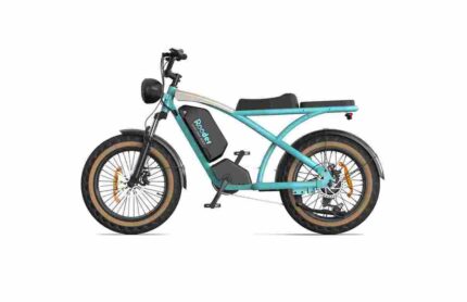 Best Electric Fat Tire Bicycle factory OEM China Wholesale