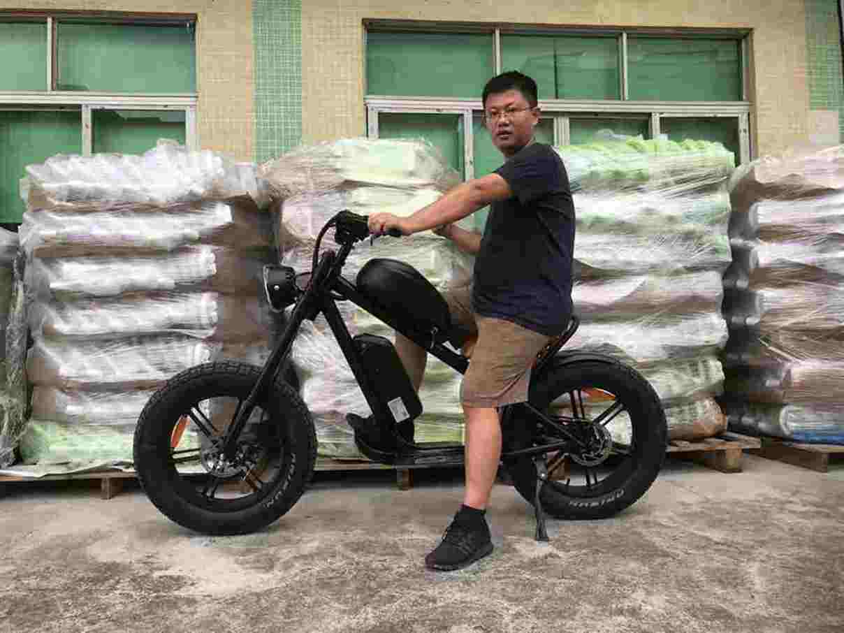 best fat tire electric bike factory OEM China Wholesale