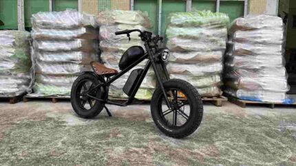 Best Value Folding Electric Bike factory OEM China Wholesale