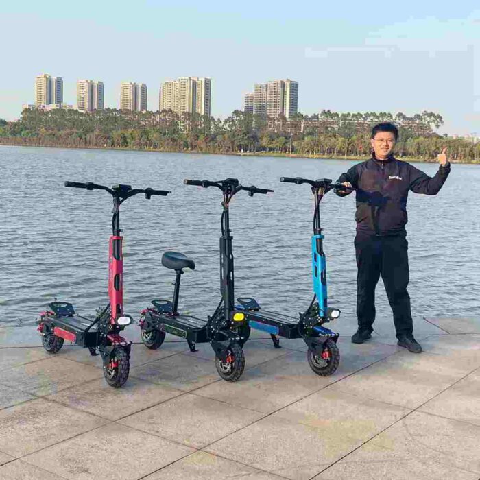 Carrera Electric Scooter factory OEM China Wholesale