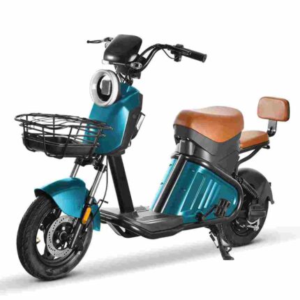 Citycoco Electric Chopper factory OEM China Wholesale