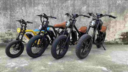 Coco Electric Bike factory OEM China Wholesale