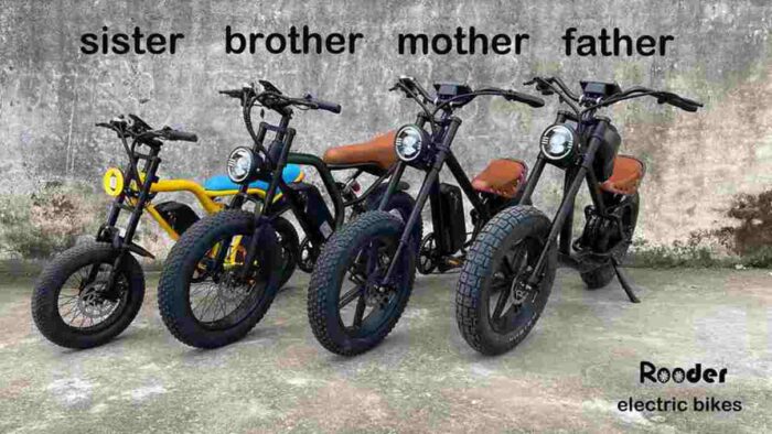 Connect Folding Electric Bike factory OEM China Wholesale