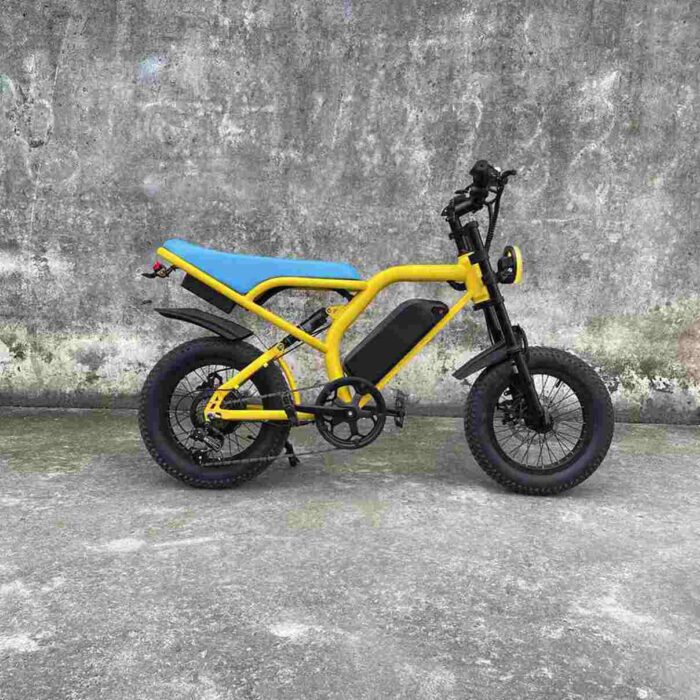 E City Folding Electric Bike factory OEM China Wholesale