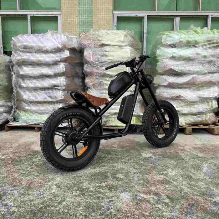 Ebike For Heavy Man factory OEM China Wholesale