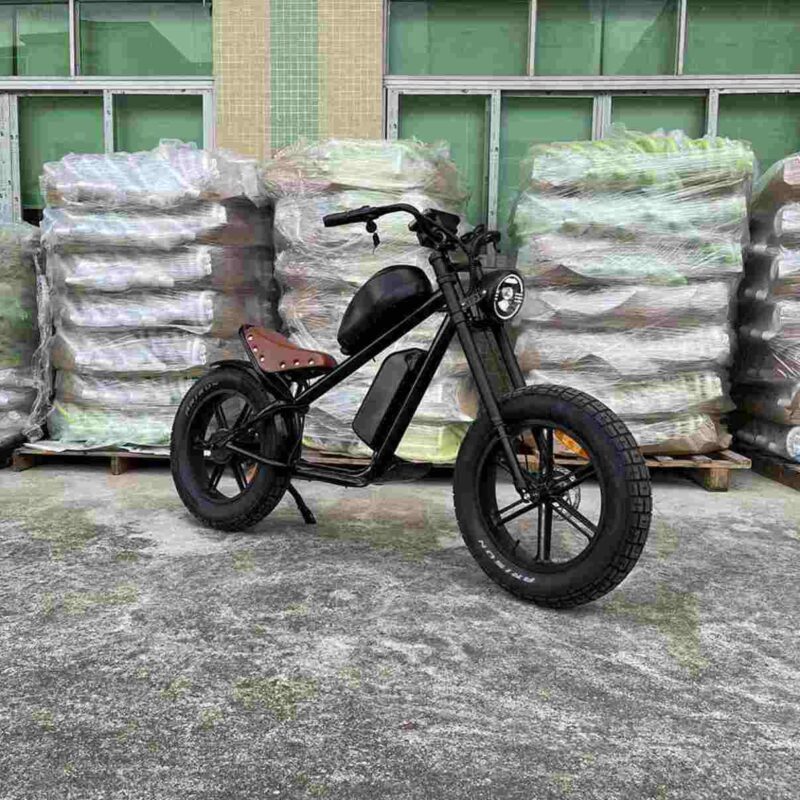 electric bike for teenager factory OEM China Wholesale