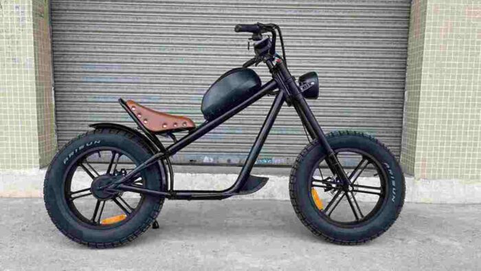 Electric Bike Thick Tyres factory OEM China Wholesale