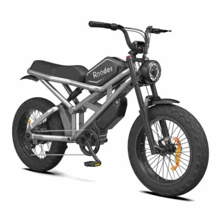 Electric Bike With Thick Tyres factory OEM China Wholesale