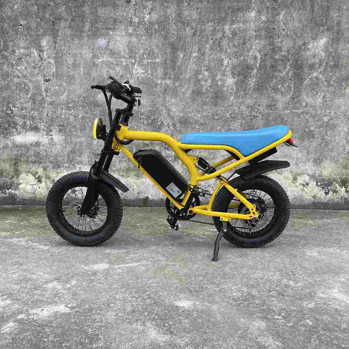 Electric Fat Tire Bike factory OEM China Wholesale