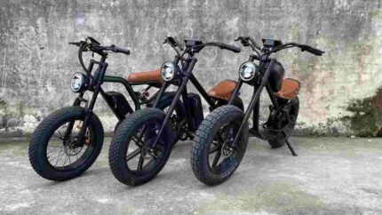 Electric Fat Tire Bikes For Adults factory OEM China Wholesale