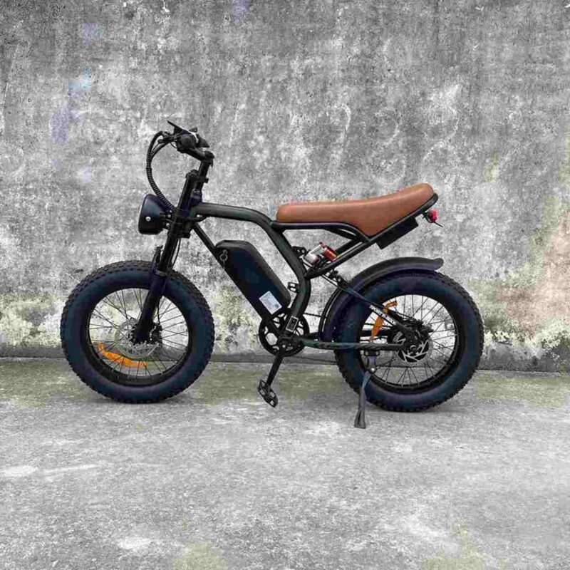 Fastest Electric Fat Tire Bike factory OEM China Wholesale