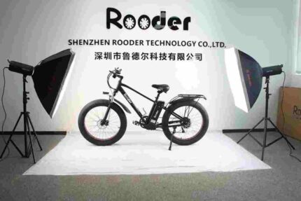Fat Bike Electric Cycle factory OEM China Wholesale