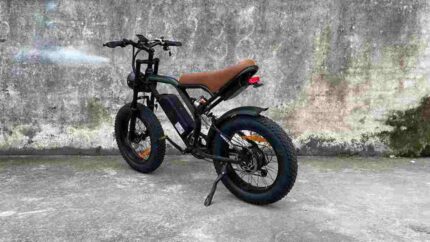 Fat Man Electric Bike factory OEM China Wholesale