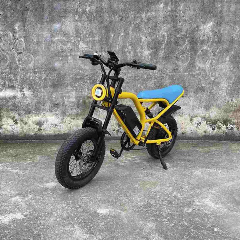 Fat Tire Electric Bike 750 Watt factory OEM China Wholesale