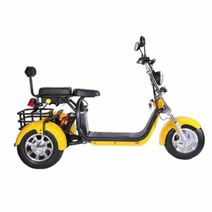 Fat Tire Electric Motorcycle factory OEM China Wholesale