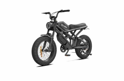 Fat Tire Off Road Electric Bike factory OEM China Wholesale