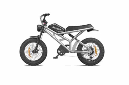 Folding Moped Electric Bike factory OEM China Wholesale