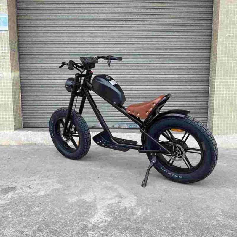 Full Size Folding E Bike factory OEM China Wholesale