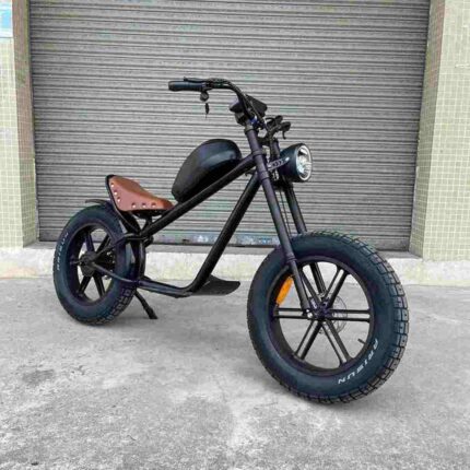 German Folding Electric Bike factory OEM China Wholesale