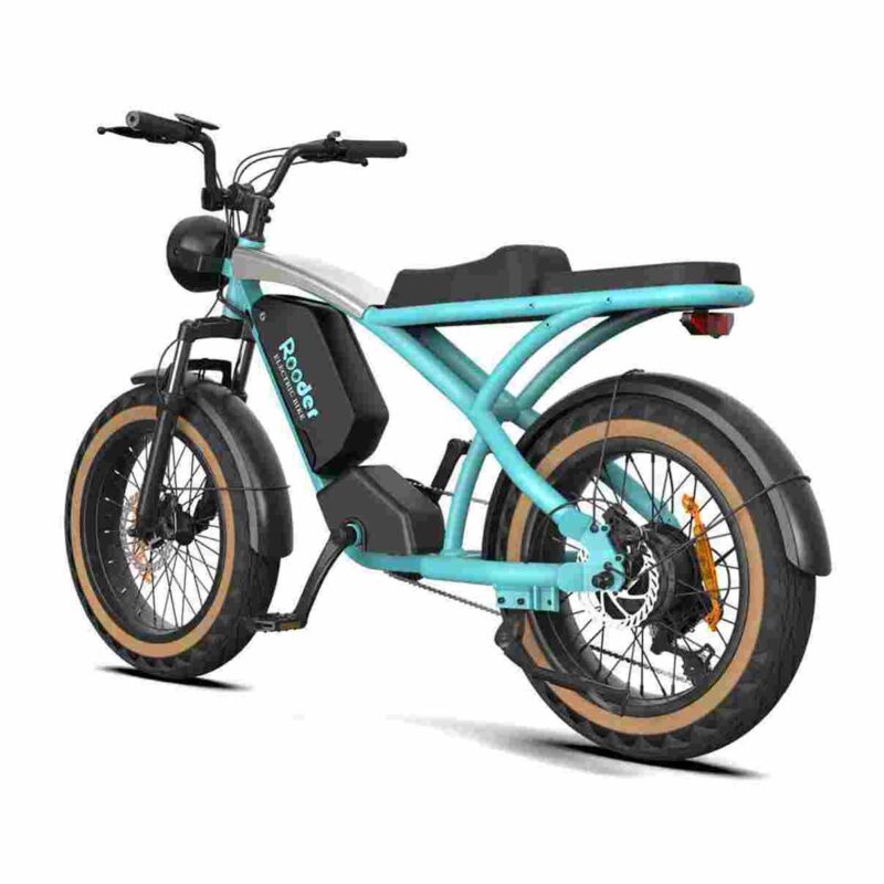 Lightweight Foldable Electric Bike factory OEM China Wholesale