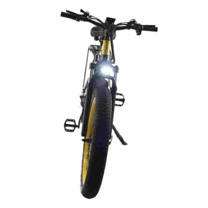 new electric cycle factory OEM China Wholesale