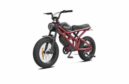 Portable Folding Electric Bike factory OEM China Wholesale