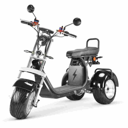 Rooder citycoco Citycoco Scooter factory OEM China Wholesale