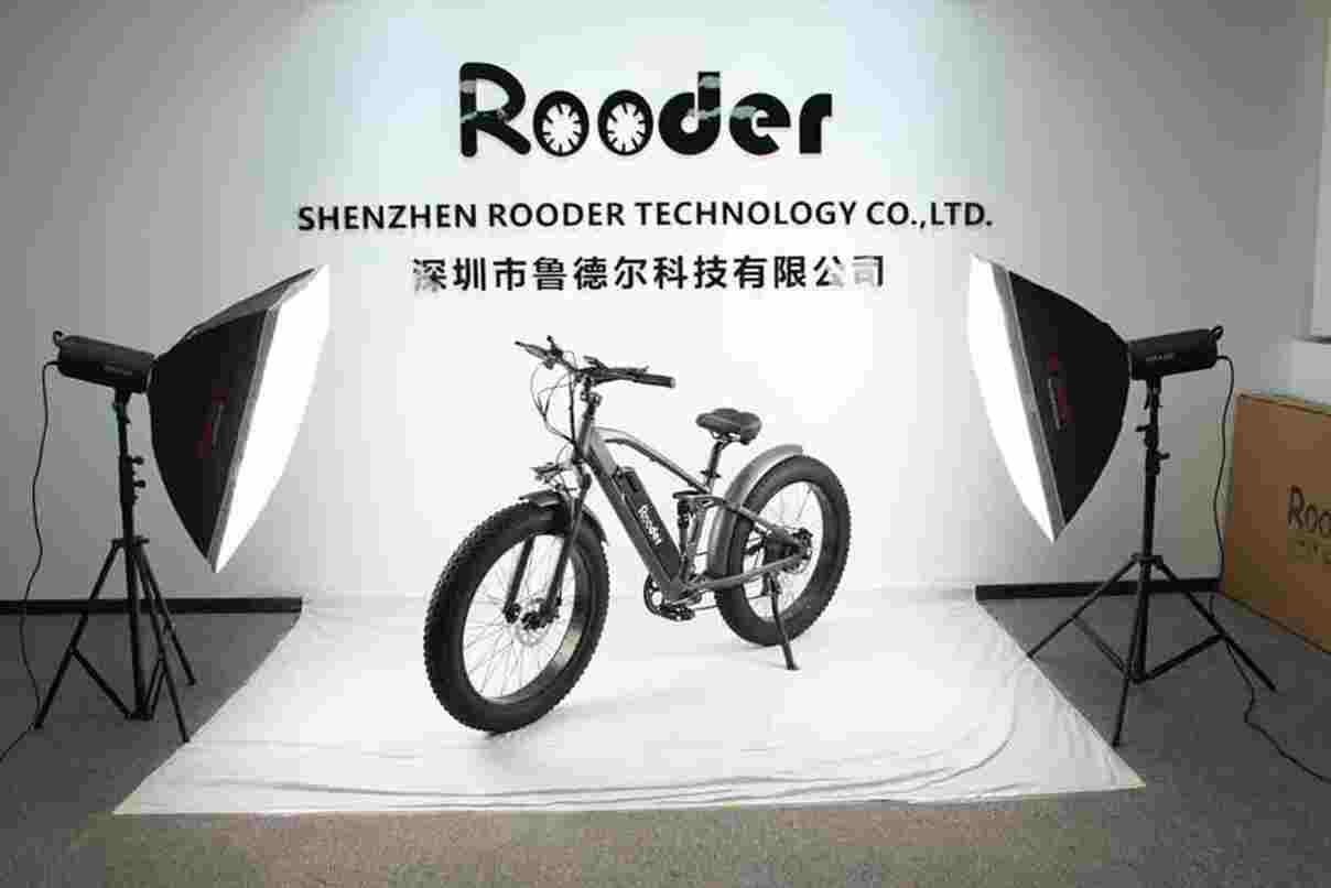 Single Speed Electric Bike factory OEM China Wholesale