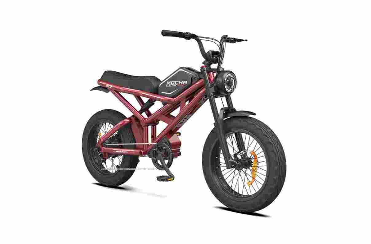 Top Fat Tire Electric Bikes factory OEM China Wholesale