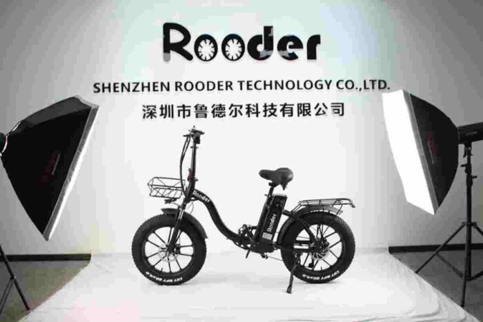 Wide Tyre Electric Bike factory OEM China Wholesale